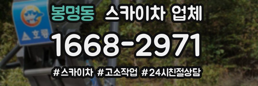 봉명동 스카이차 업체