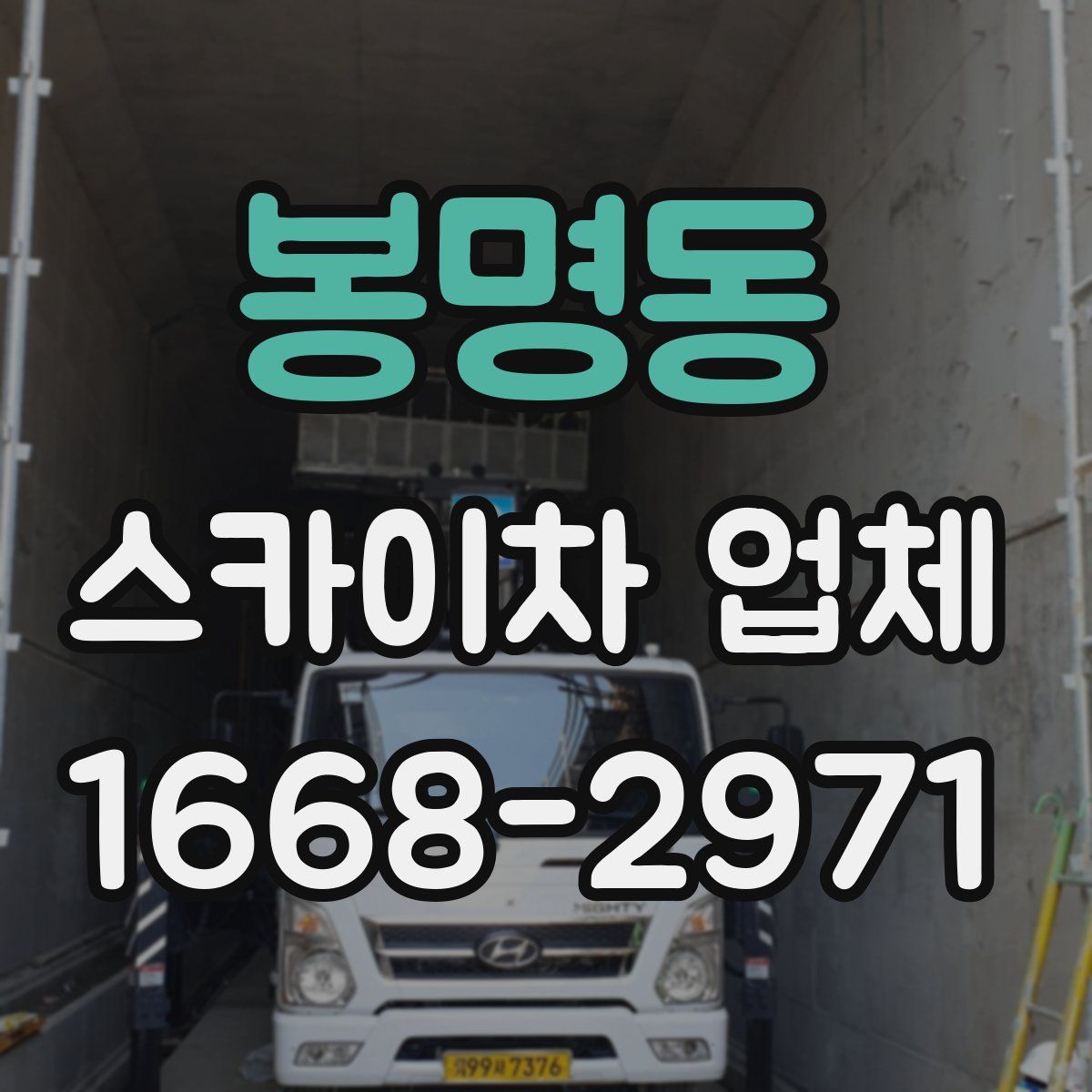 봉명동 스카이차 업체