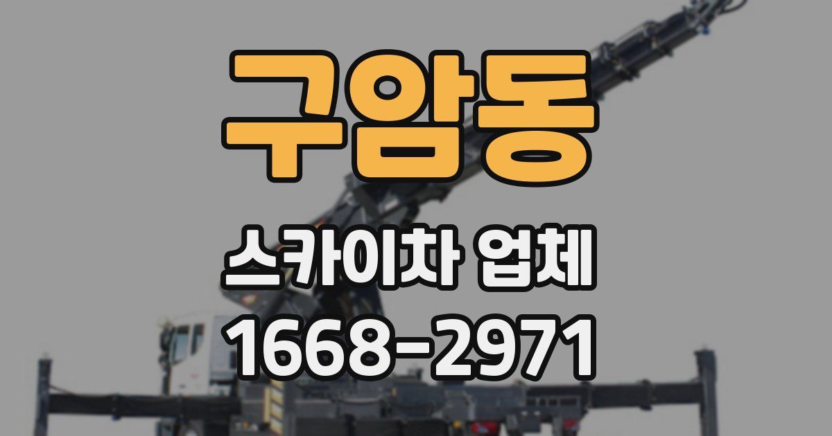 구암동 스카이차 업체