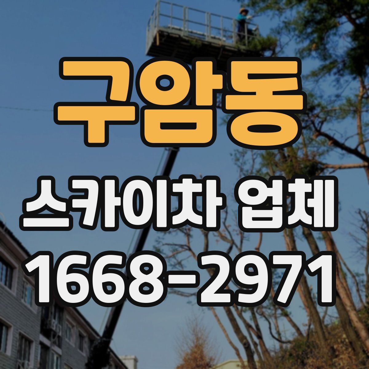 구암동 스카이차 업체