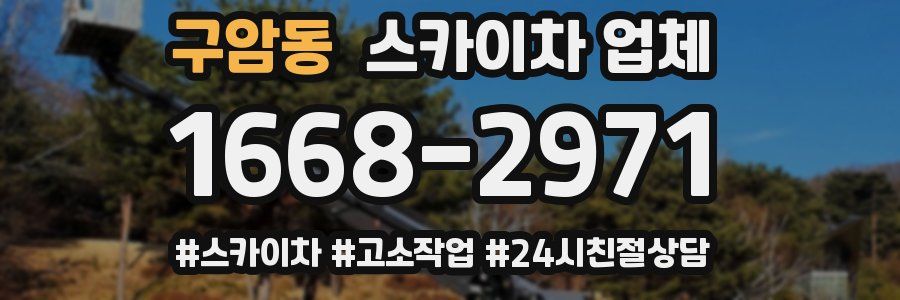 구암동 스카이차 업체