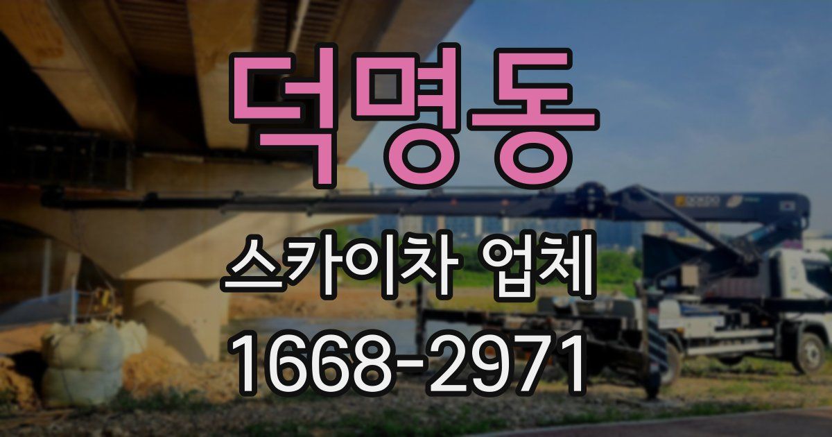 덕명동 스카이차 업체