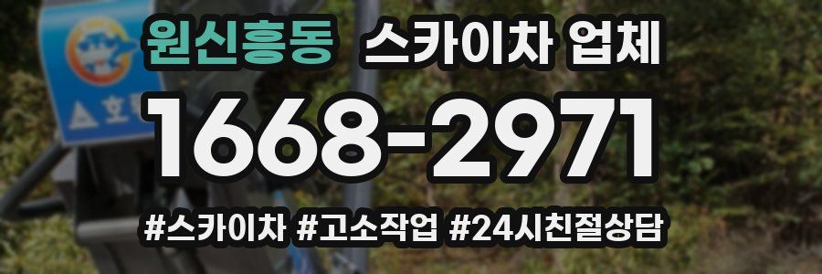 원신흥동 스카이차 업체