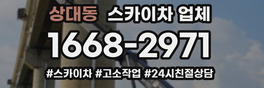 상대동 스카이차 업체