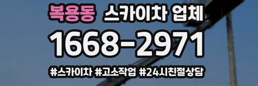 복용동 스카이차 업체