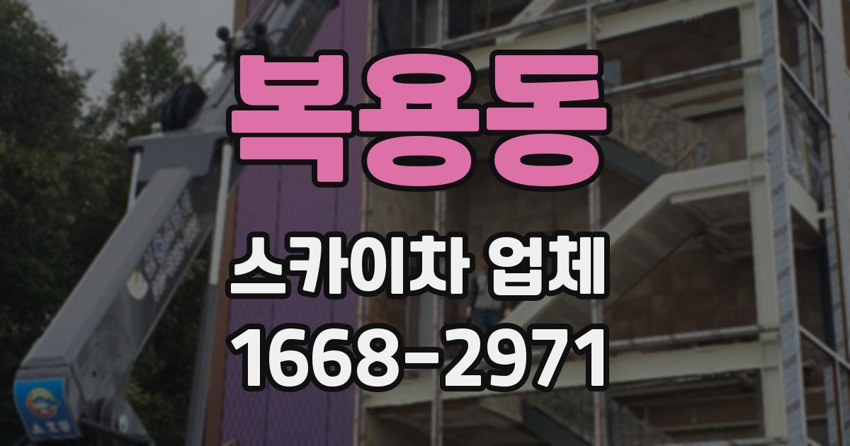 복용동 스카이차 업체