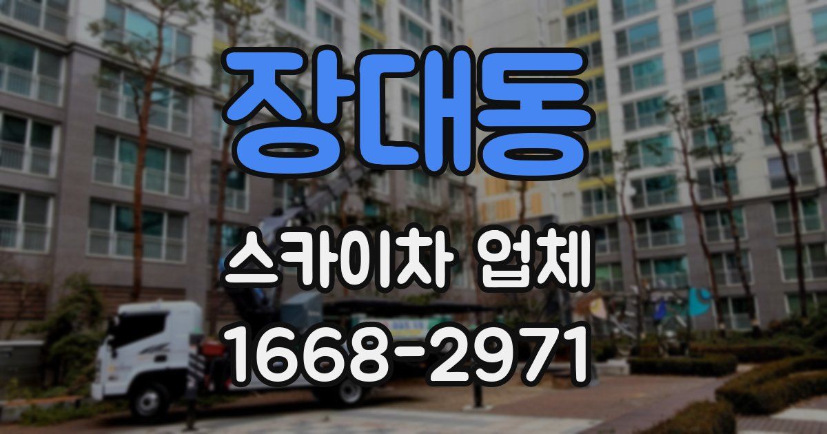 장대동 스카이차 업체
