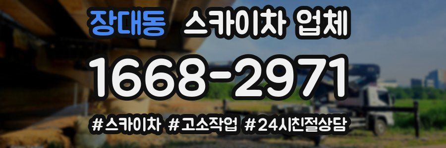 장대동 스카이차 업체