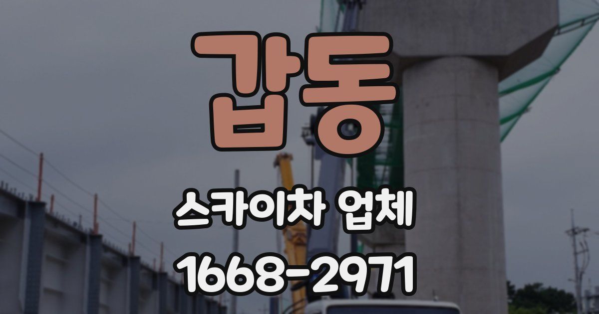 갑동 스카이차 업체