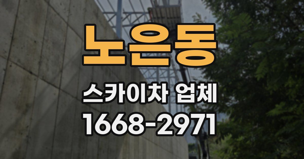 노은동 스카이차 업체
