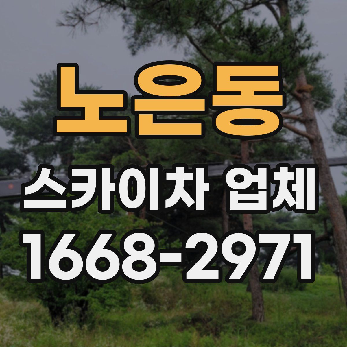 노은동 스카이차 업체