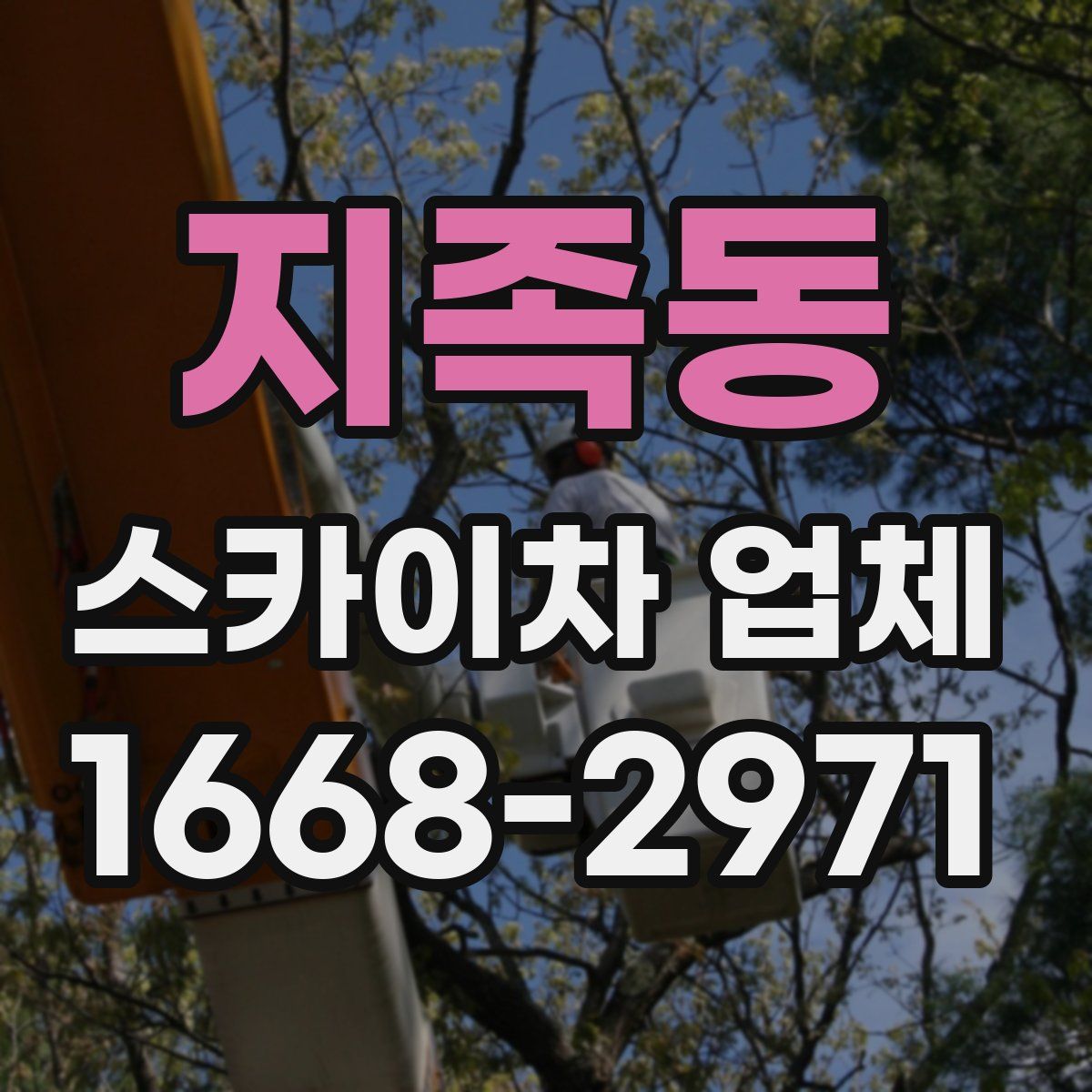 지족동 스카이차 업체