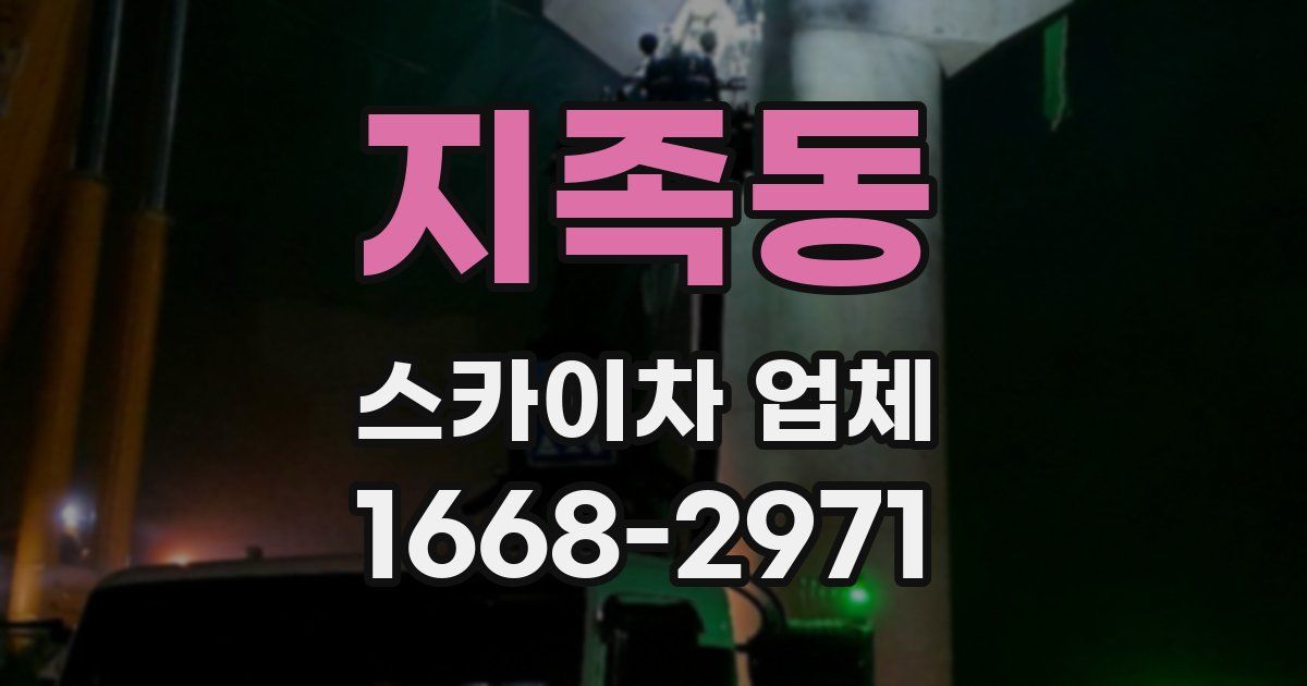 지족동 스카이차 업체