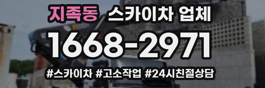 지족동 스카이차 업체