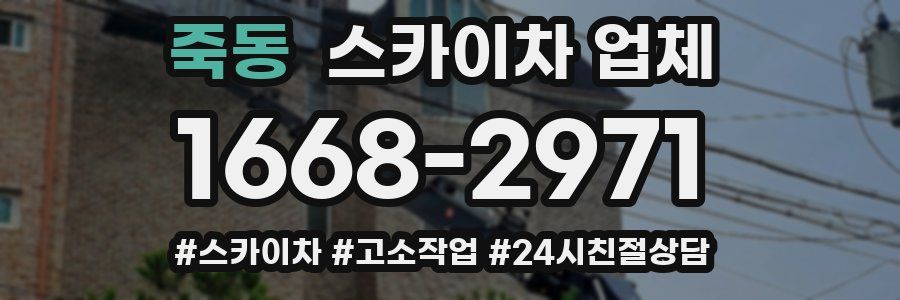 죽동 스카이차 업체