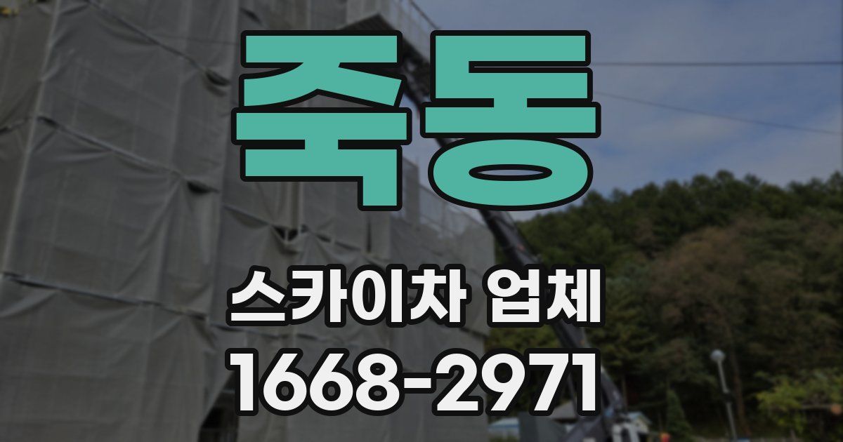 죽동 스카이차 업체