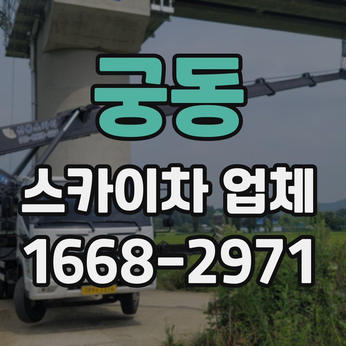 궁동 스카이차 업체