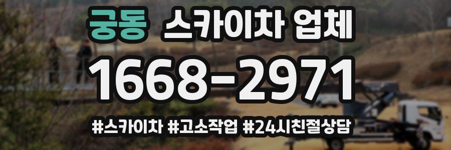궁동 스카이차 업체