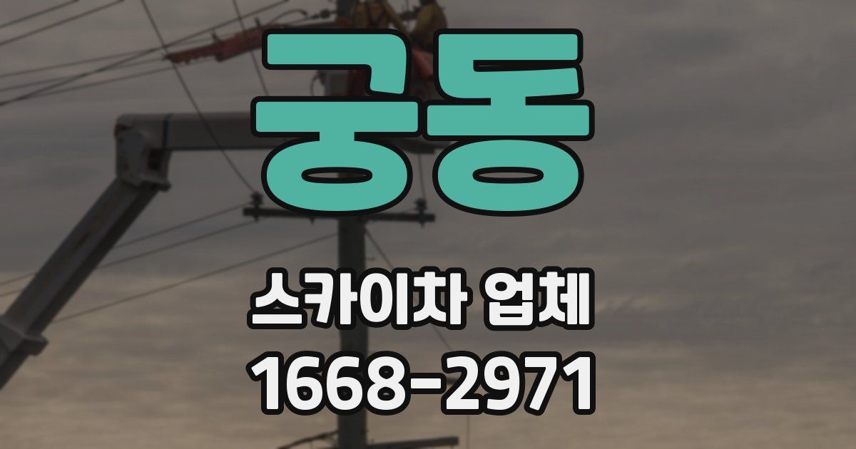 궁동 스카이차 업체