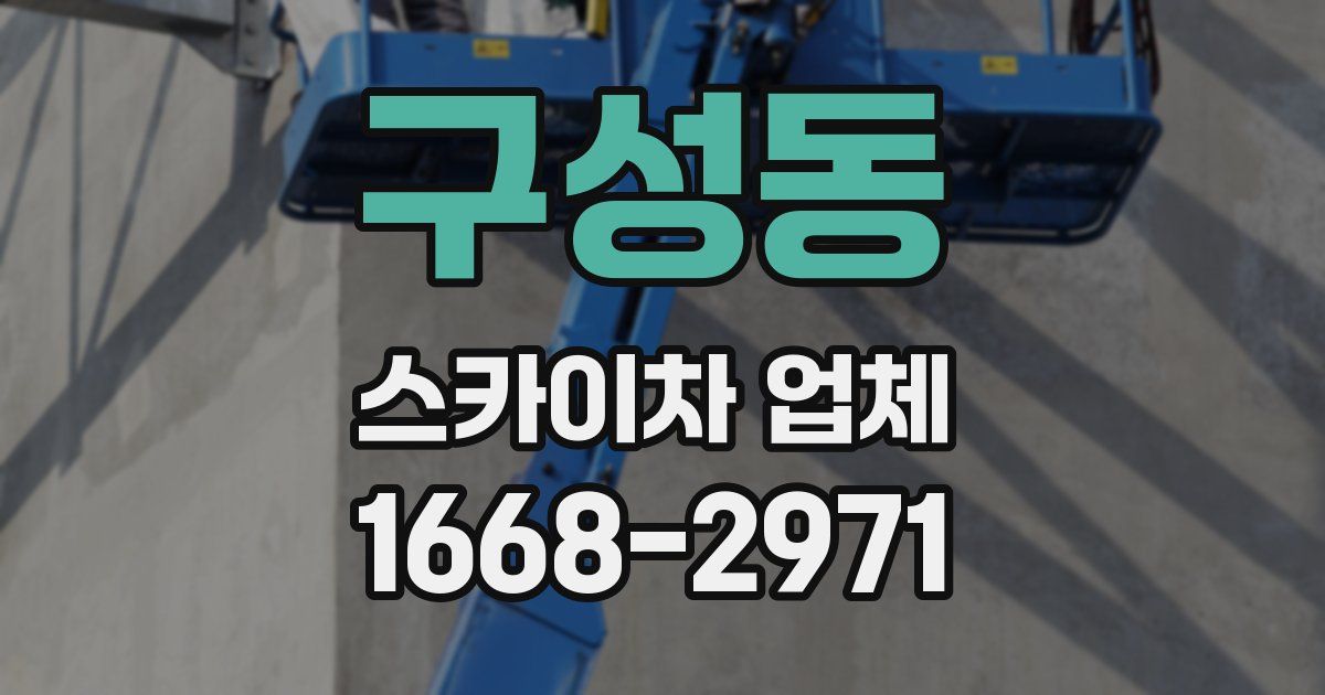 구성동 스카이차 업체