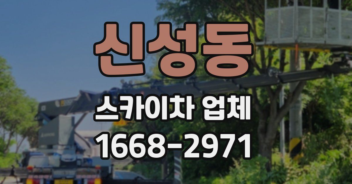 신성동 스카이차 업체