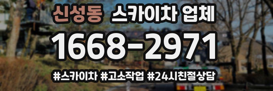 신성동 스카이차 업체