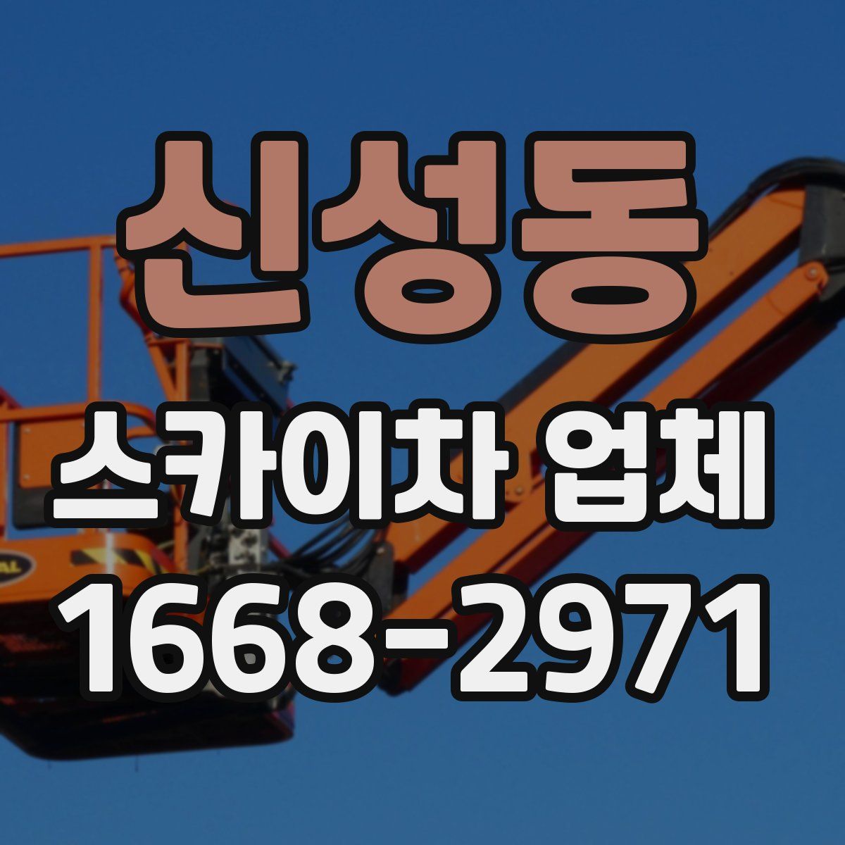 신성동 스카이차 업체