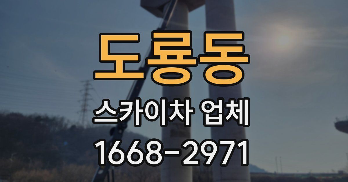도룡동 스카이차 업체