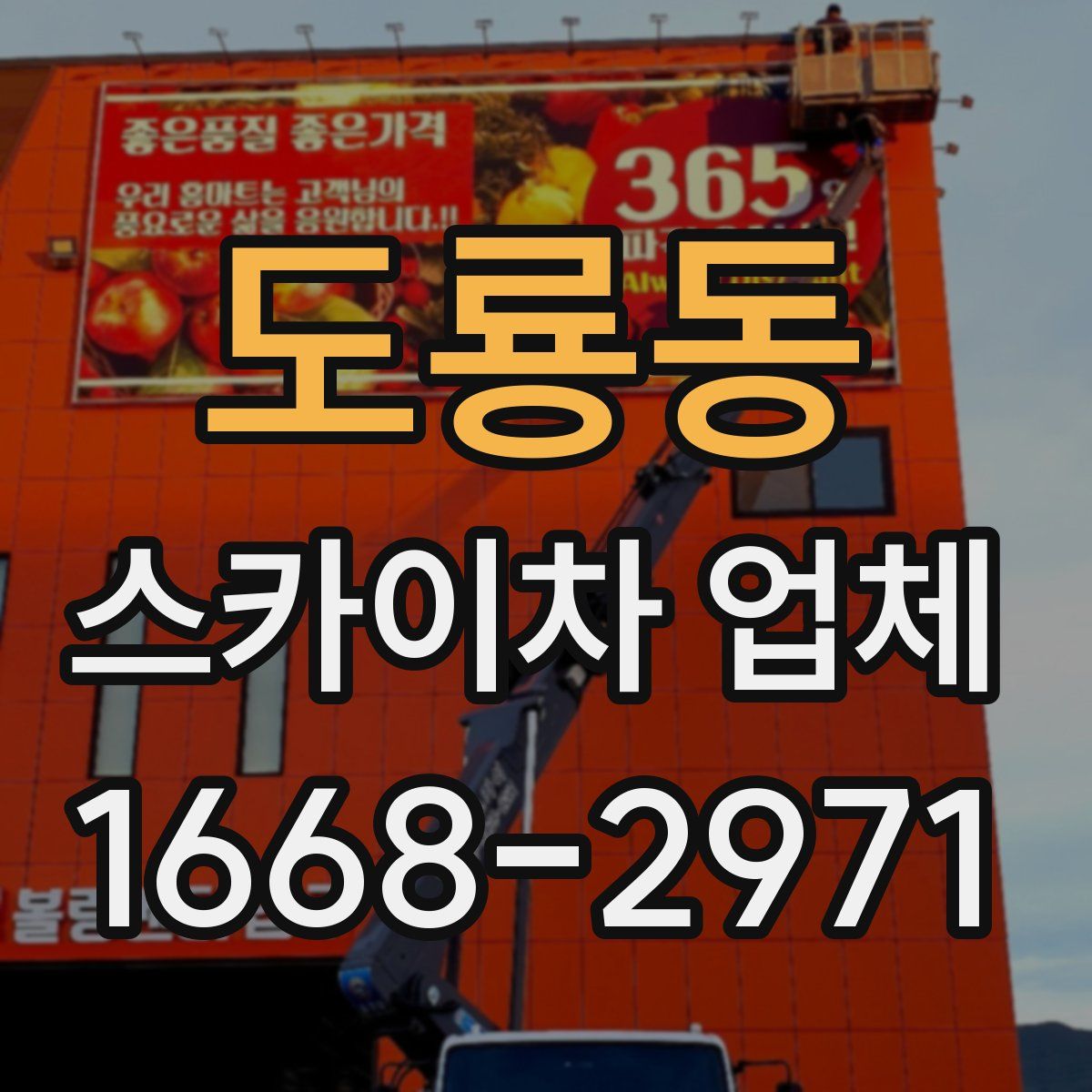 도룡동 스카이차 업체