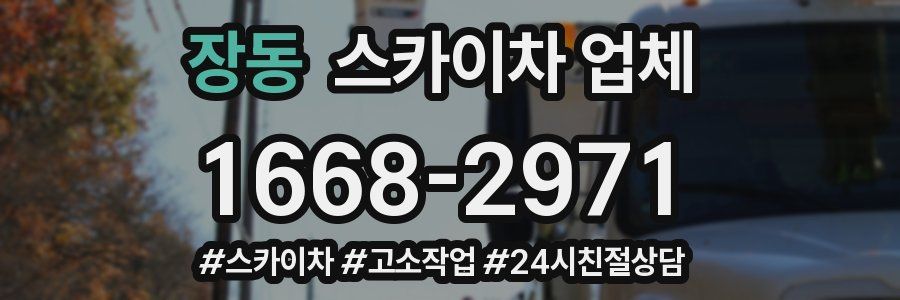 장동 스카이차 업체