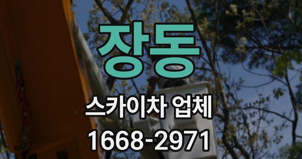장동 스카이차 업체