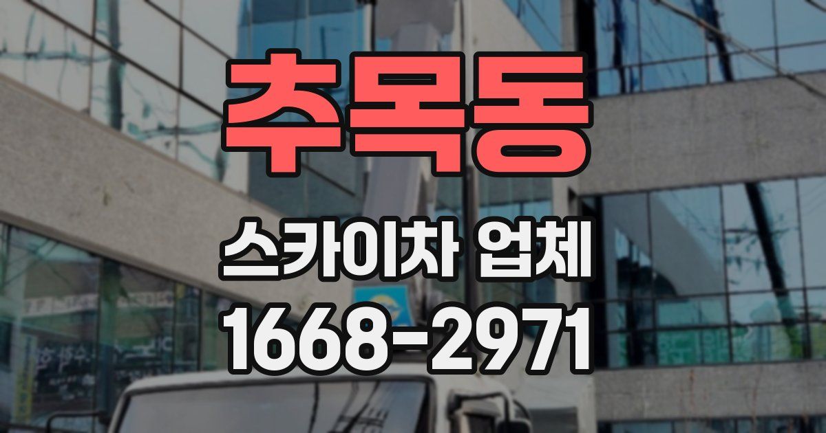 추목동 스카이차 업체