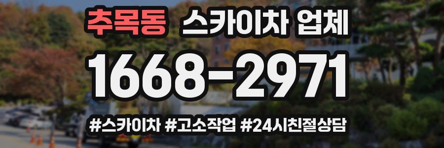 추목동 스카이차 업체