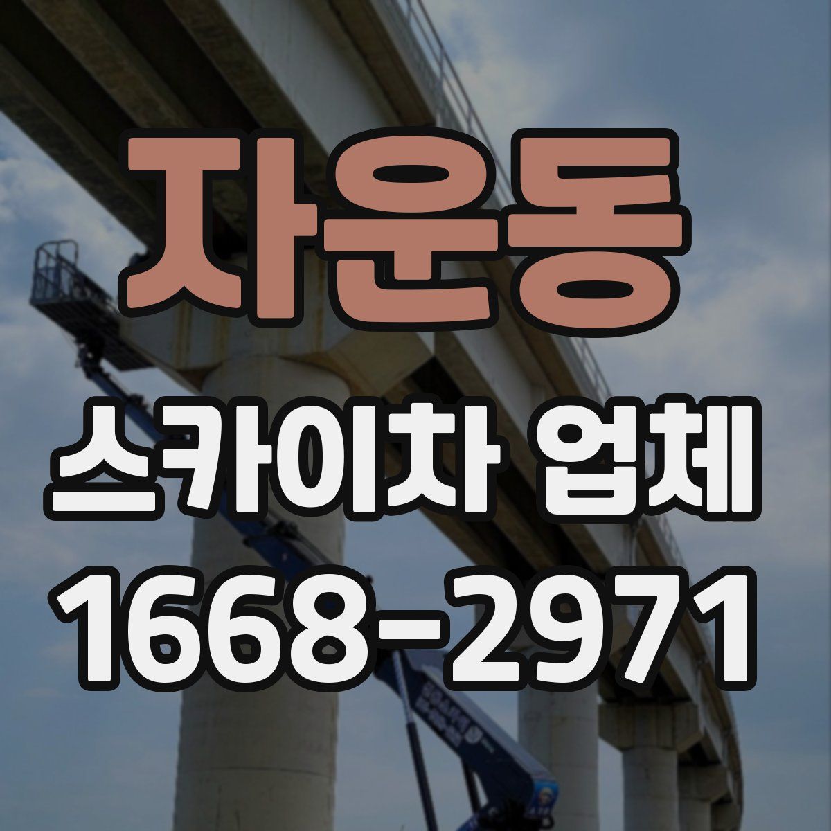 자운동 스카이차 업체