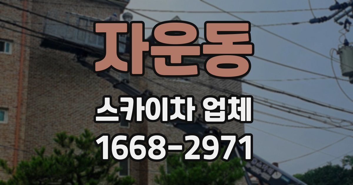 자운동 스카이차 업체