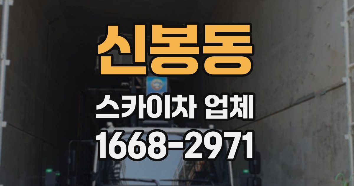 신봉동 스카이차 업체