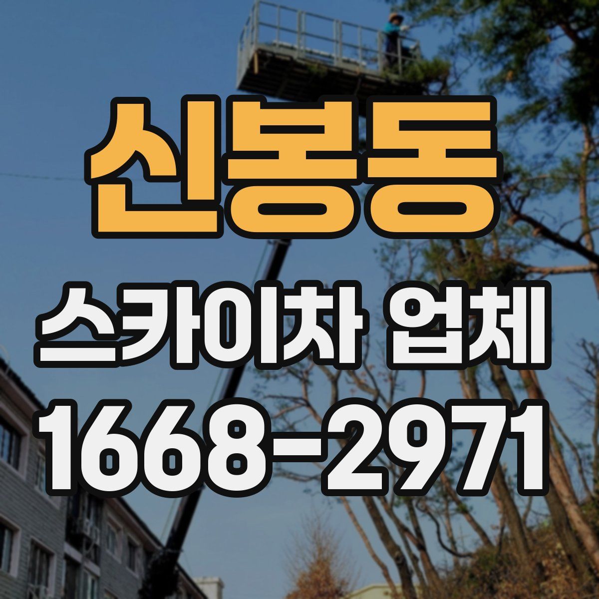 신봉동 스카이차 업체