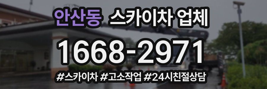 안산동 스카이차 업체