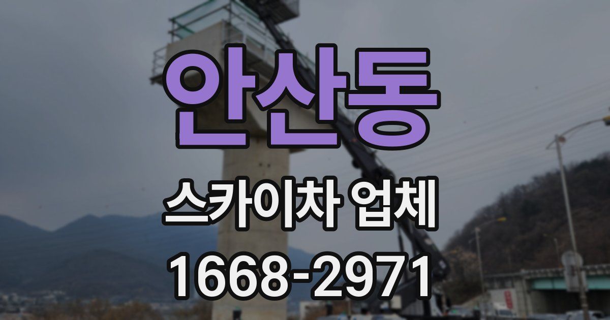 안산동 스카이차 업체