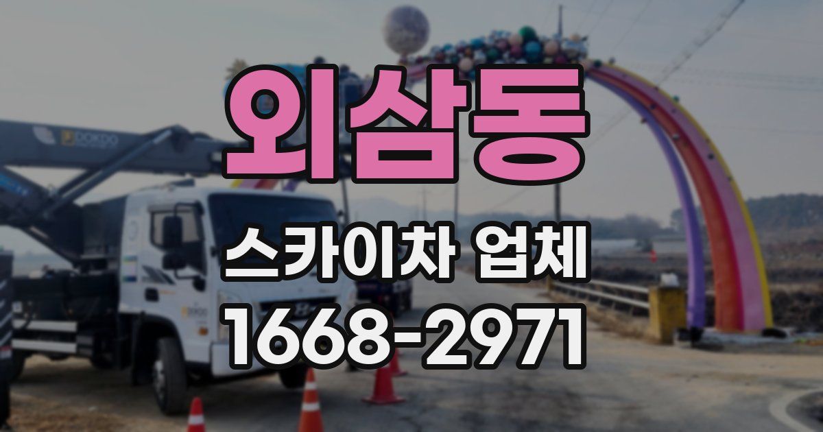 외삼동 스카이차 업체