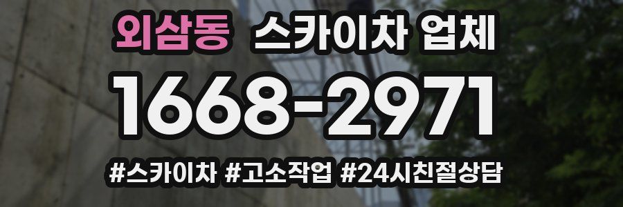 외삼동 스카이차 업체