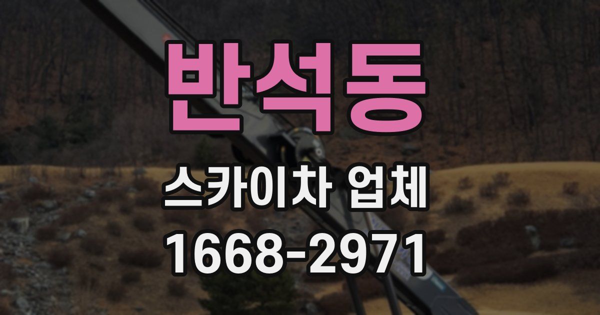 반석동 스카이차 업체