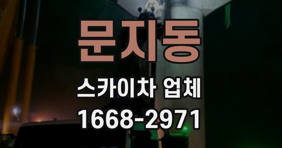 문지동 스카이차 업체
