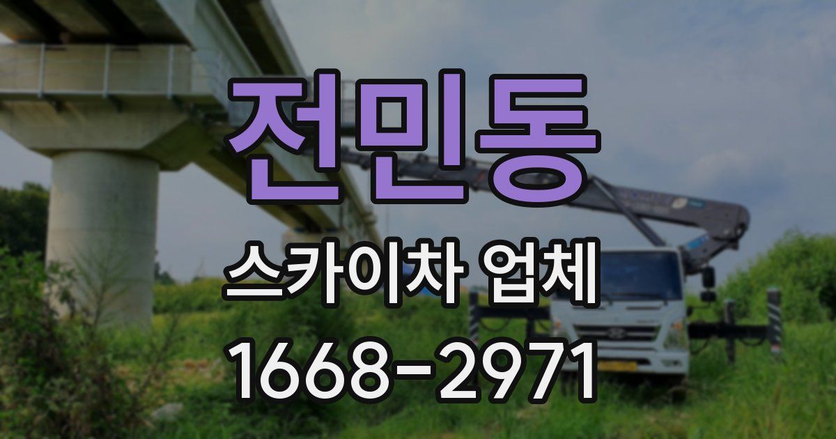 전민동 스카이차 업체
