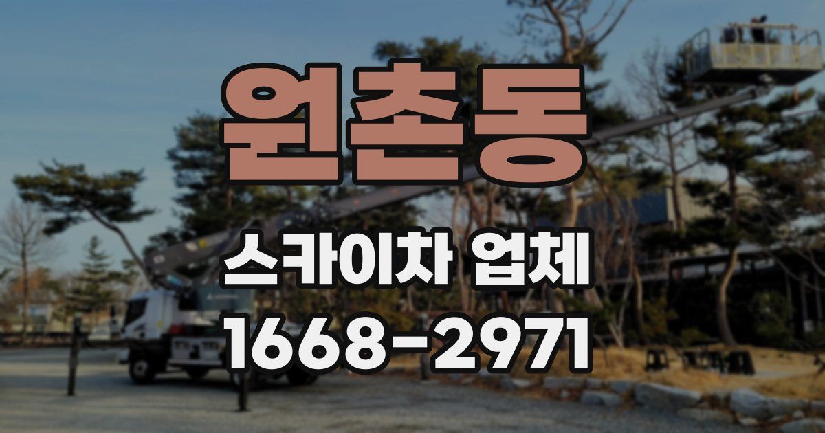 원촌동 스카이차 업체