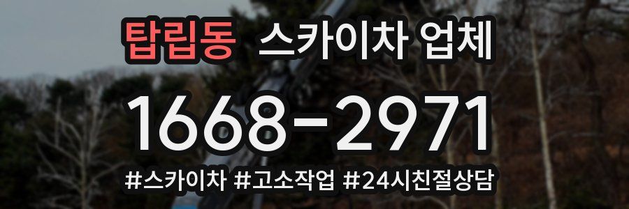 탑립동 스카이차 업체