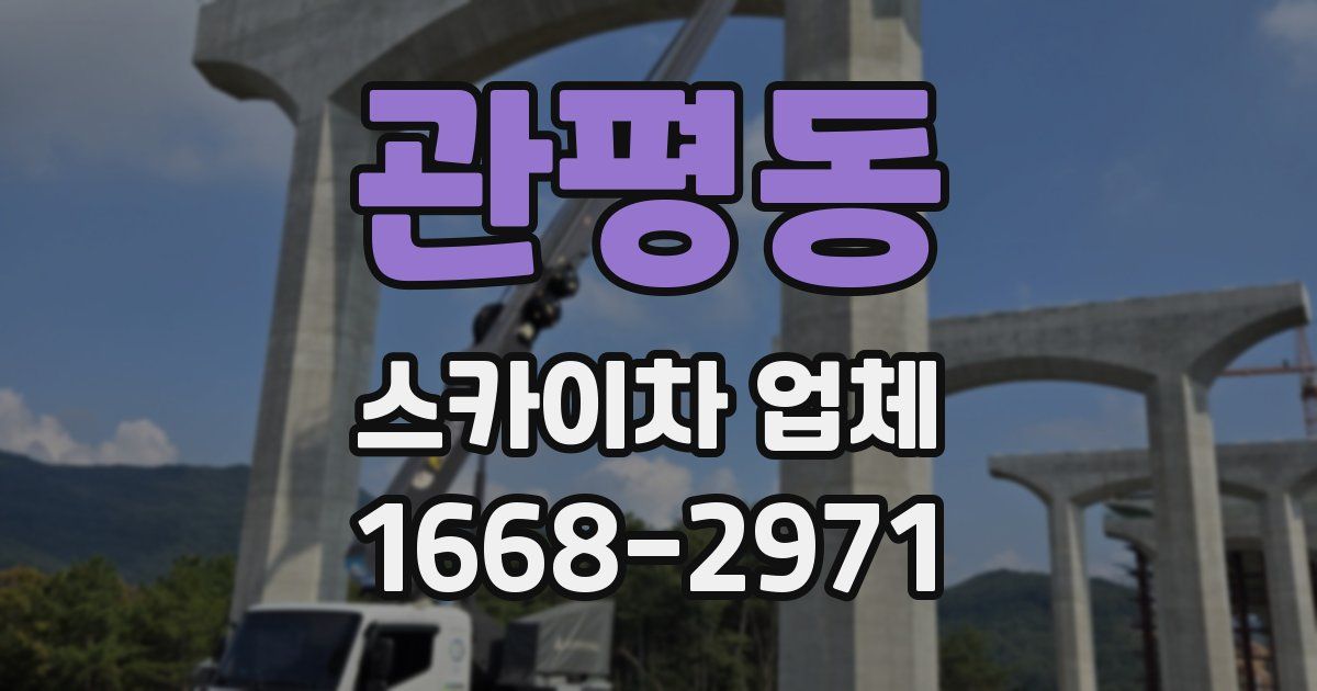 관평동 스카이차 업체