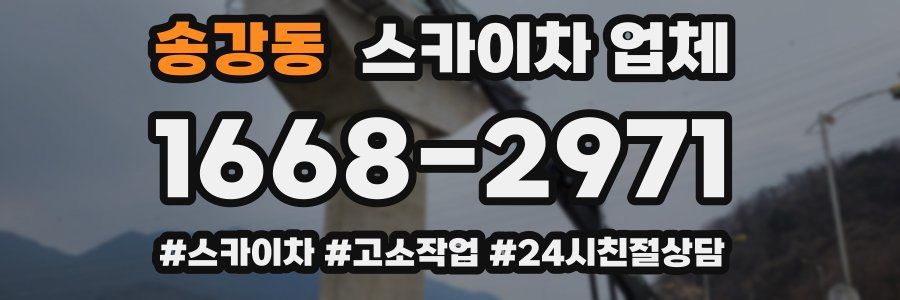 송강동 스카이차 업체