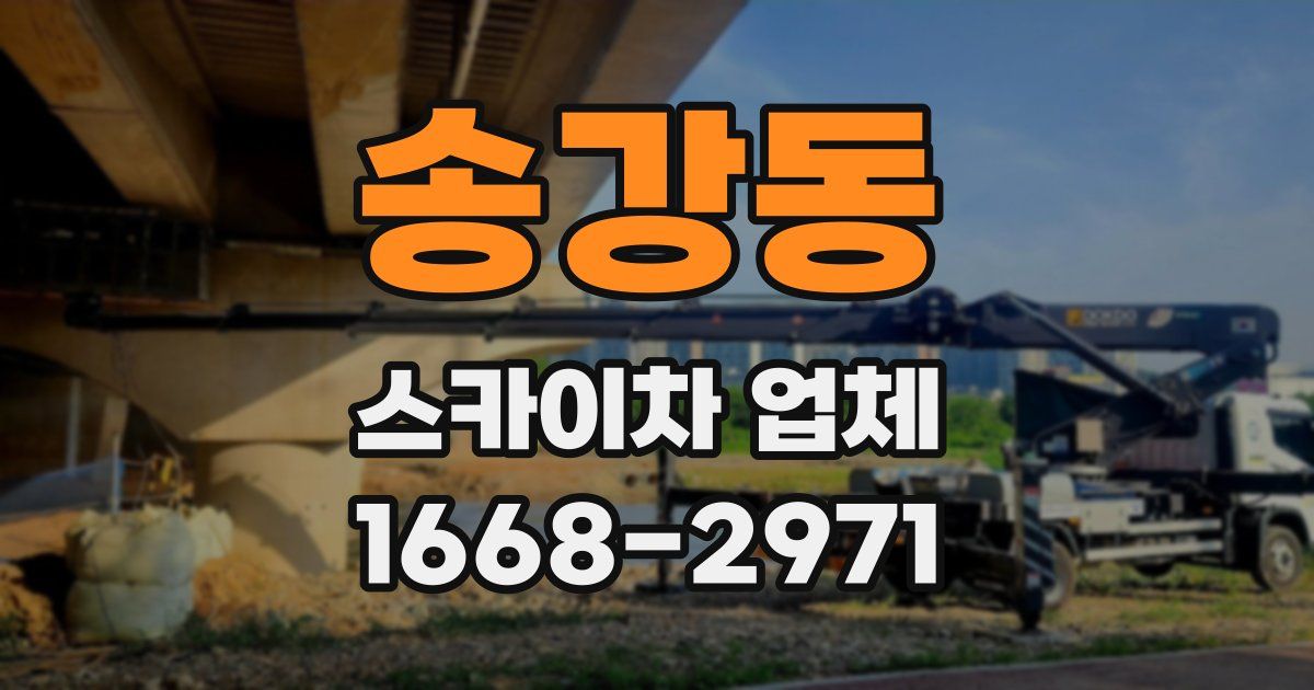 송강동 스카이차 업체