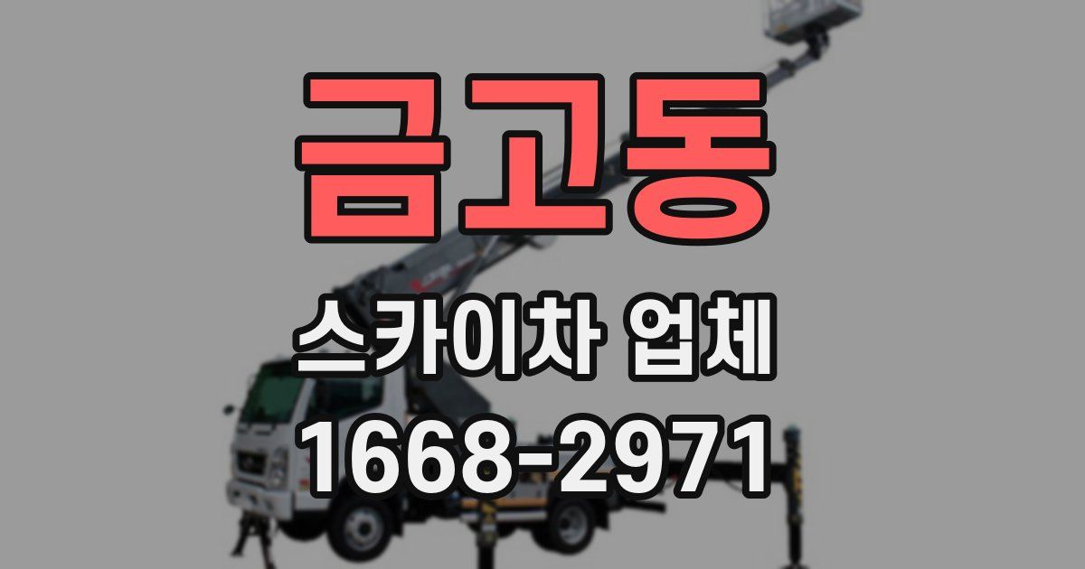 금고동 스카이차 업체